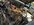 IMG_2782.jpeg