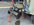 IMG_7019.jpeg