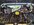 IMG_7021.jpeg