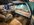 IMG_7912.jpeg