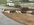 IMG_2376.jpeg