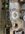 IMG_9797.jpeg