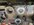 IMG_9798.jpeg