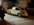 IMG_3161.jpeg