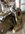IMG_9811.jpeg