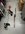 IMG_2036.jpeg