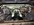 IMG_7041.jpeg