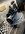 IMG_0663.jpeg