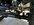 IMG_2041.jpeg