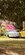 IMG_6105.jpeg