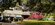 IMG_6103.jpeg