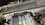 IMG_1126.jpeg