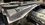 IMG_1110.jpeg
