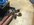 IMG_5426.jpeg