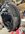 IMG_1321.jpeg