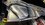 IMG_1144.jpeg