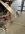 IMG_1807.jpeg