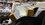 IMG_1163.jpeg