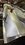 IMG_1164.jpeg