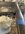 IMG_9835.jpeg