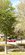 IMG_6326.jpeg