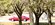 IMG_6327.jpeg