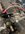 IMG_9850.jpeg