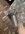 IMG_1297.jpeg