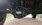 IMG_20250329_152947100_HDR-1.jpg