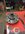 IMG_1623_Original.jpeg