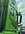IMG_5925.jpeg