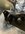 IMG_9863.jpeg
