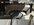 IMG_3879.jpeg