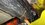 IMG_7924.jpeg