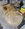 IMG_1376.jpeg