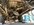 IMG_3528.jpeg
