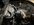 IMG_3534.jpeg