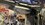 IMG_1290.jpeg