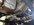 IMG_9882.jpeg