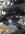 IMG_9886.jpeg