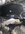 IMG_9888.jpeg
