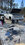 IMG_1477.jpeg