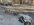 IMG_1708.jpeg
