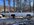IMG_1707.jpeg