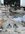 IMG_1892.jpeg