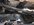 IMG_9901.jpeg