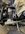 IMG_9913.jpeg