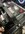 IMG_9925.jpeg