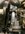 IMG_9930.jpeg