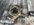 IMG_1778.jpeg